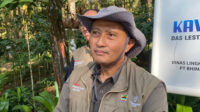 15605-16462-raja-udang-kalung-biru-yang-terancam-punah-ditemukan-di-batang